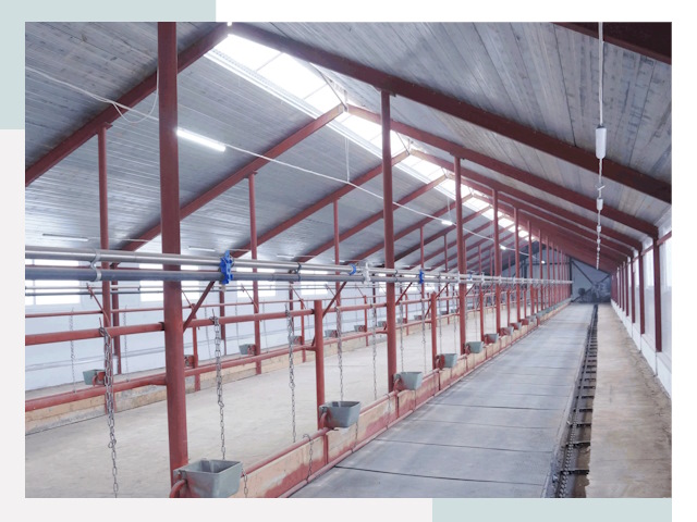 Строительство коровников в Алексине от 659 руб.