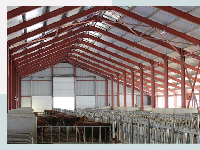 Строительство коровников в Алексине