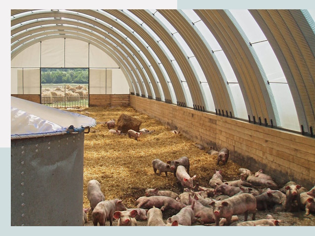 Строительство свинарников в Алексине