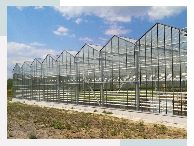 Строительство теплиц в Алексин от 659 руб. за м²